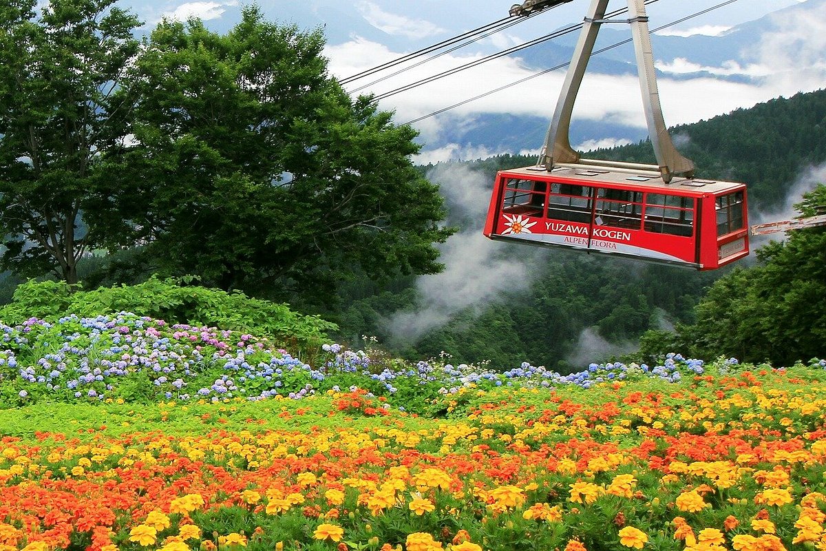 湯沢高原アルプの里
