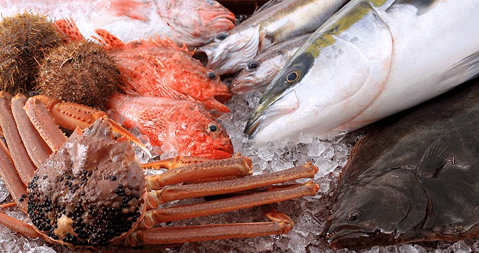 日本海の海の幸